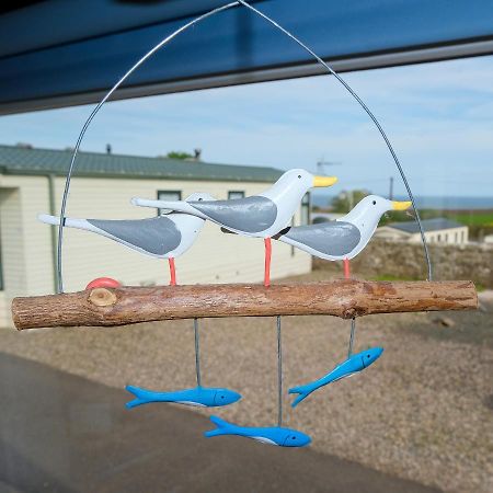 Kittiwake Apartment Saint Cyrus Exterior foto